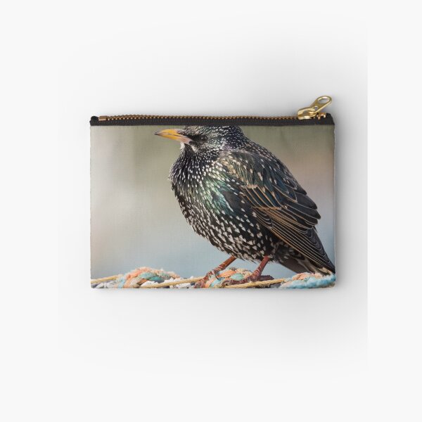 Item preview, Starling designed and sold by LaurenTucker.