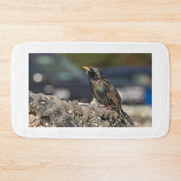Item preview, Starling designed and sold by LaurenTucker.