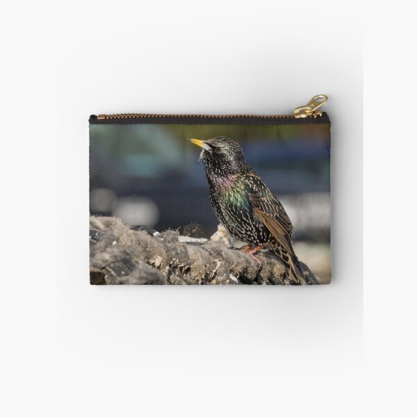 Item preview, Starling designed and sold by LaurenTucker.