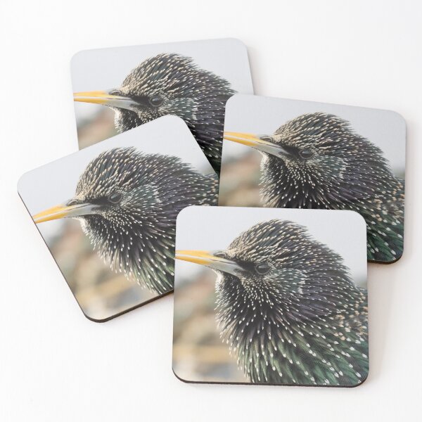 Item preview, Starling designed and sold by LaurenTucker.