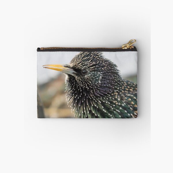 Item preview, Starling designed and sold by LaurenTucker.