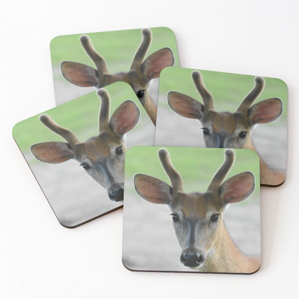 Item preview, Young Buck Close Up  designed and sold by NicoleFrederick.