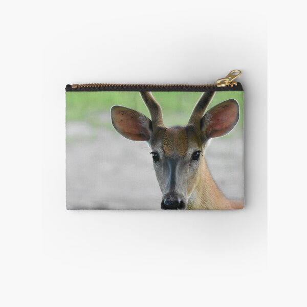 Item preview, Young Buck Close Up  designed and sold by NicoleFrederick.