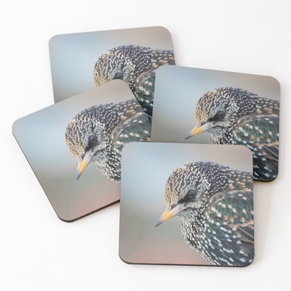 Item preview, Starling designed and sold by LaurenTucker.