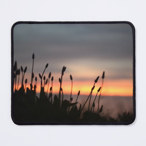 Item preview, The sunrise behind the foliage designed and sold by Lottie’s Studio .