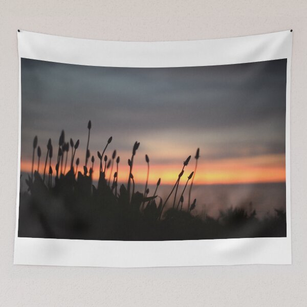 Item preview, The sunrise behind the foliage designed and sold by Lottie’s Studio .