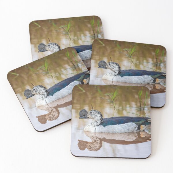 Item preview, Knob-Billed Duck Tanzania Africa designed and sold by PhotoArt by Joan Carroll.