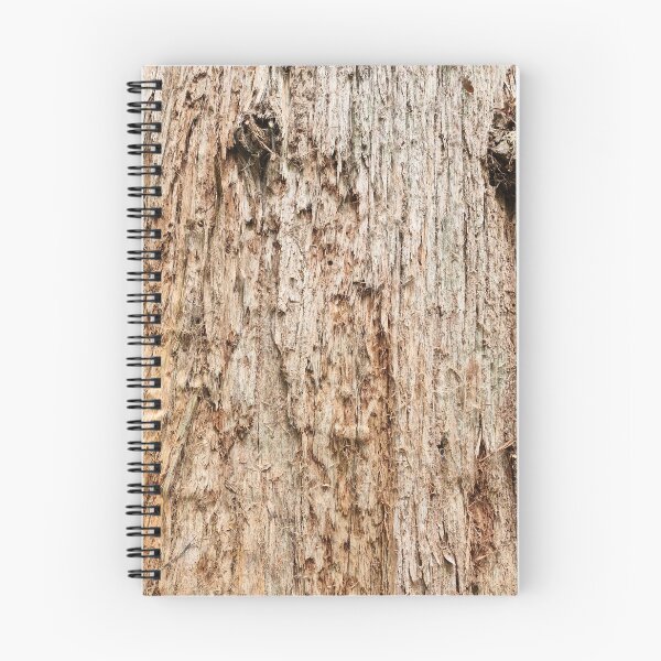 Item preview, Tree within the Tasmania Tarkine designed and sold by Brendon987.