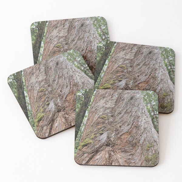 Item preview, Tree within the Tasmania Tarkine designed and sold by Brendon987.