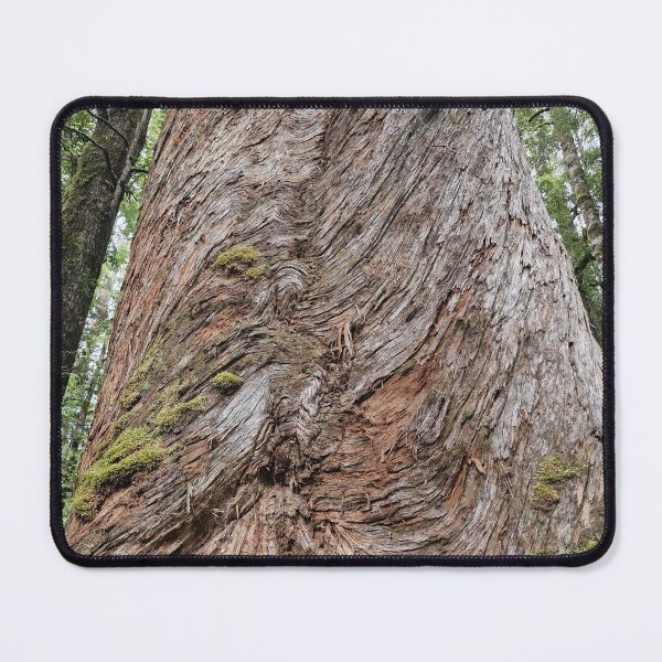 Item preview, Tree within the Tasmania Tarkine designed and sold by Brendon987.