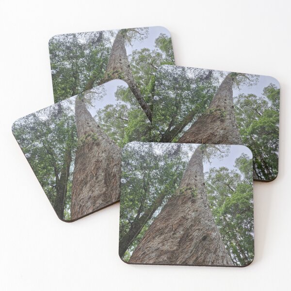 Item preview, Tree within the Tasmania Tarkine designed and sold by Brendon987.