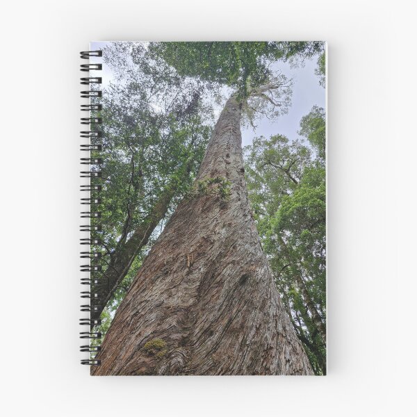 Item preview, Tree within the Tasmania Tarkine designed and sold by Brendon987.