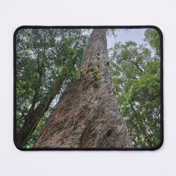 Item preview, Tree within the Tasmania Tarkine designed and sold by Brendon987.