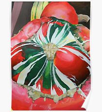 Fall Gourd Poster