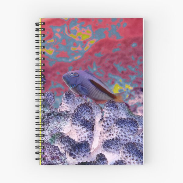 Item preview, 'A 'Awa (Hogfish) Color Splash designed and sold by Scurvy Dawg Design.