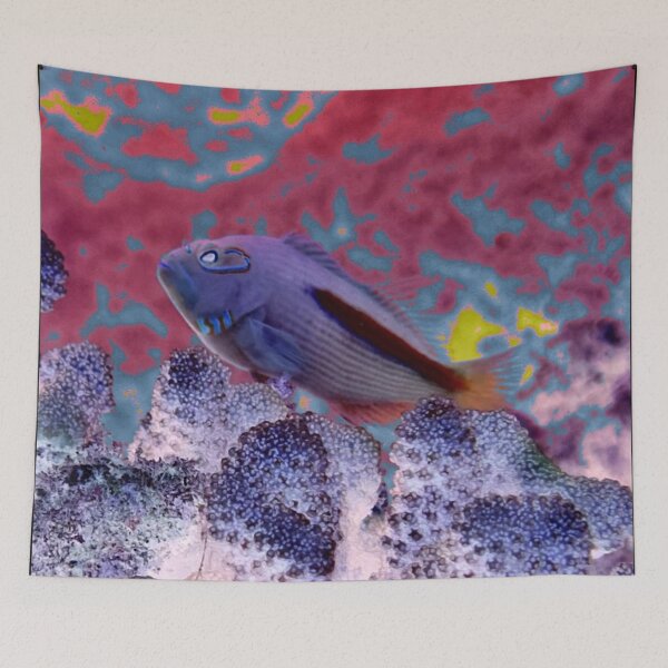 Item preview, 'A 'Awa (Hogfish) Color Splash designed and sold by Scurvy Dawg Design.