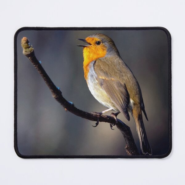 Item preview, Winters' Song designed and sold by Tom McPherson Photography.