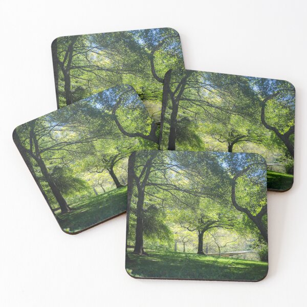 Item preview, Dreamy Trees designed and sold by LMKphotography.