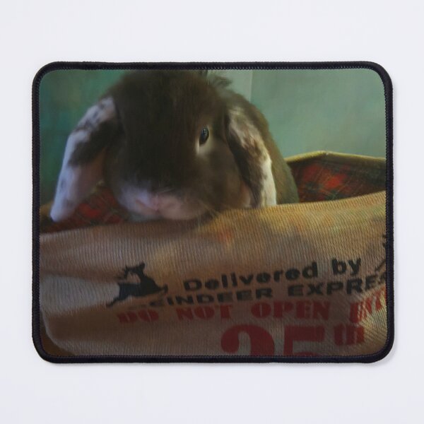 Item preview, The Christmas Bunny Sebastian Tortellini designed and sold by BunnyBoos.