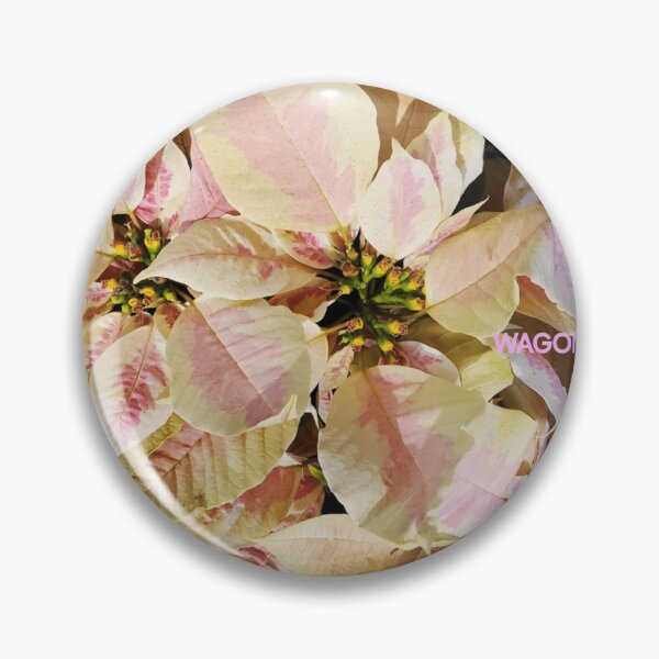 Item preview, Floral Pink / Yellow Poinsettia by Wagonesta  designed and sold by Wagonesta.