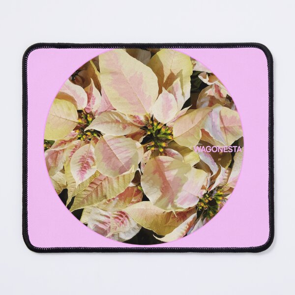 Item preview, Floral Pink / Yellow Poinsettia by Wagonesta designed and sold by Wagonesta.