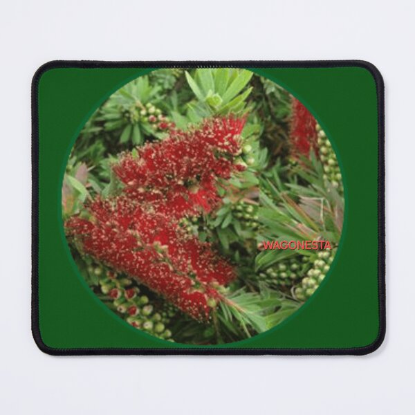 Item preview, Floral Bottlebrush with Gold by Wagonesta designed and sold by Wagonesta.