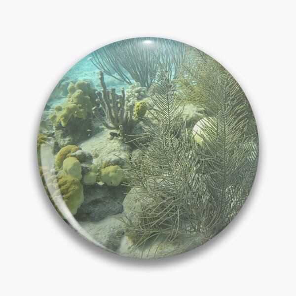 Item preview, Underwater - Little Garden Spot in the Sea in Bonaire by Wagonesta  designed and sold by Wagonesta.