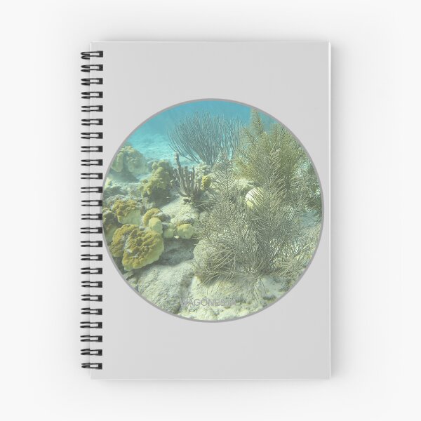 Item preview, Underwater - Little Garden Spot in the Sea in Bonaire by Wagonesta  designed and sold by Wagonesta.