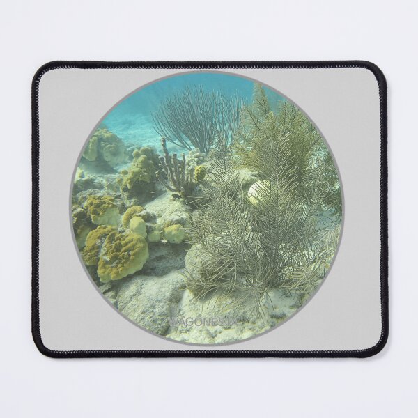 Item preview, Underwater - Little Garden Spot in the Sea in Bonaire by Wagonesta designed and sold by Wagonesta.