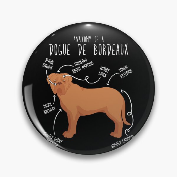 Item preview, Dogue de Bordeaux Dog Anatomy designed and sold by Clara Hollins.