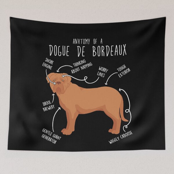 Item preview, Dogue de Bordeaux Dog Anatomy designed and sold by Clara Hollins.