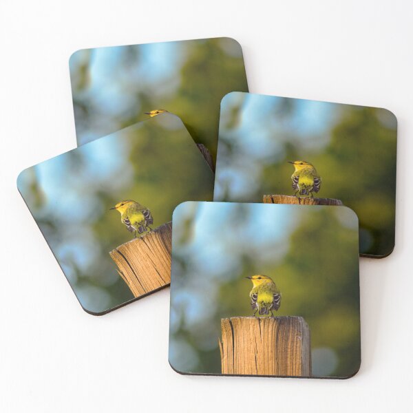 Item preview, Backyard Warbler  designed and sold by MyBackyardWorld.