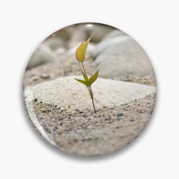 Item preview, small plant in the sand between the rocks designed and sold by ricobarinas.