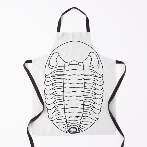 Item preview, Phacops designed and sold by ThePaleoDude.