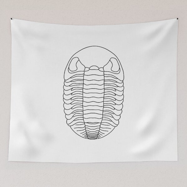 Item preview, Phacops designed and sold by ThePaleoDude.