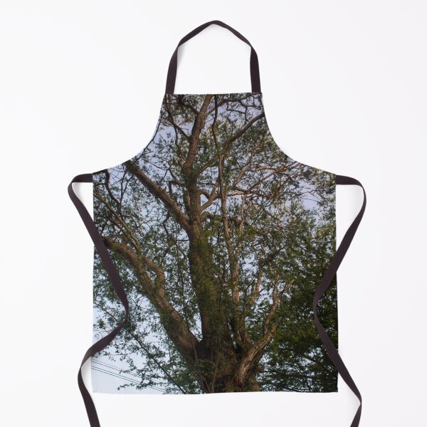 Item preview, grandeur of a tree designed and sold by felipequeiroz.