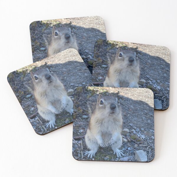Item preview, Golden Mantled Ground Squirrel  designed and sold by MostSplendid.