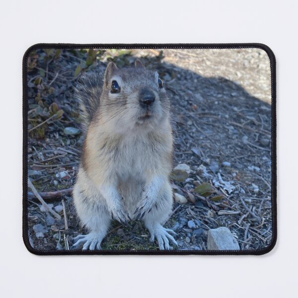 Item preview, Golden Mantled Ground Squirrel  designed and sold by MostSplendid.