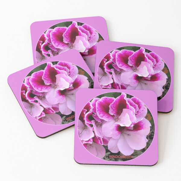 Item preview, Floral Shades of Pink Begonia Wagonesta  designed and sold by Wagonesta.