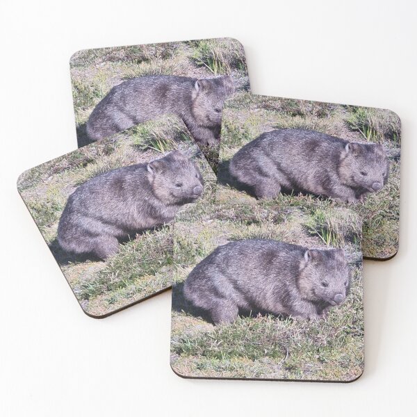 Item preview, Wombat within the Tasmania Tarkine designed and sold by Brendon987.