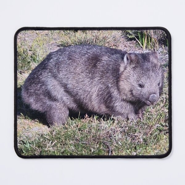 Item preview, Wombat within the Tasmania Tarkine designed and sold by Brendon987.