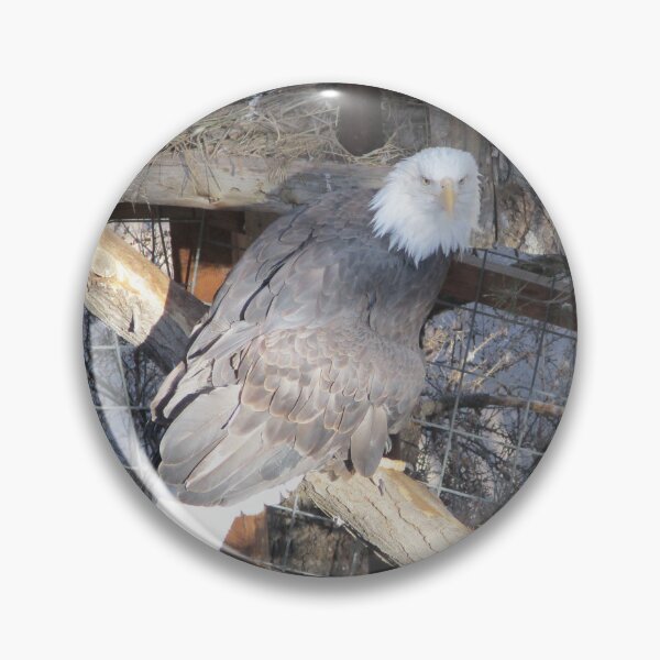 Item preview, Eagle designed and sold by This and That.