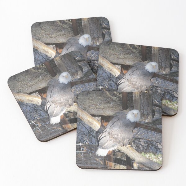 Item preview, Eagle designed and sold by This and That.
