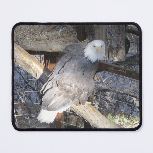 Item preview, Eagle designed and sold by This and That.