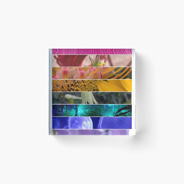 Item preview, Gilbert Pride in Nature 2024 designed and sold by Jimbo McCoy.