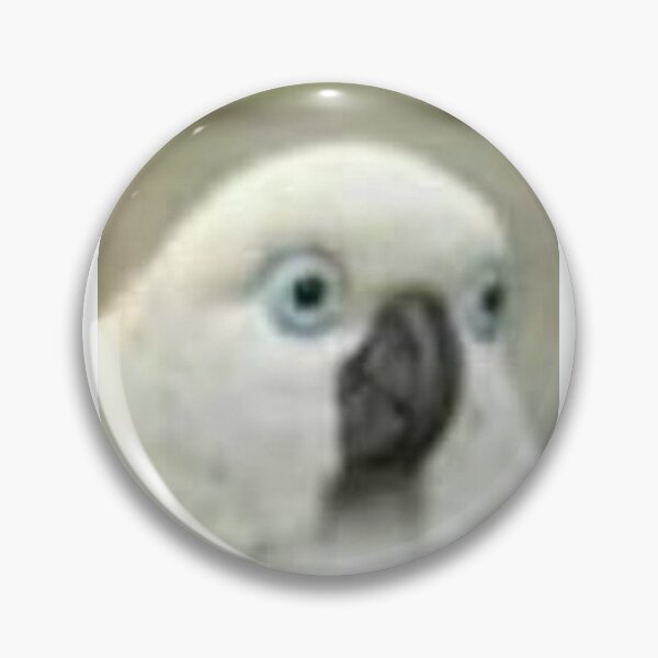 Item preview, Cockatoo sh*tpost designed and sold by You Have A Choice.