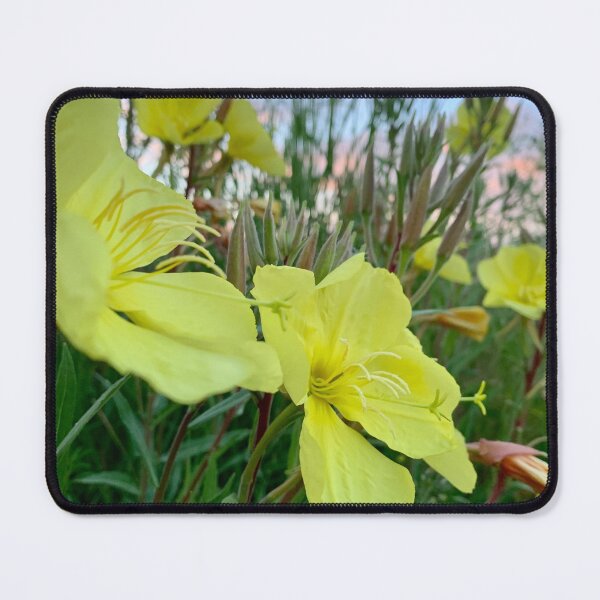 Item preview, Evening Glow designed and sold by Betsy Phillips.