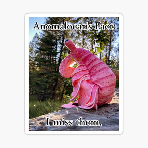 Item preview, Anomalocaris Fun Fact 7 designed and sold by ThePaleoDude.