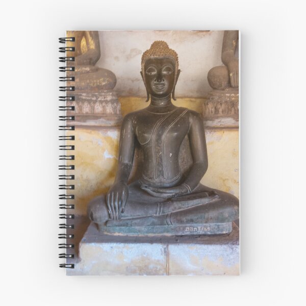Item preview, One of many Buddhas designed and sold by Mark Prior.