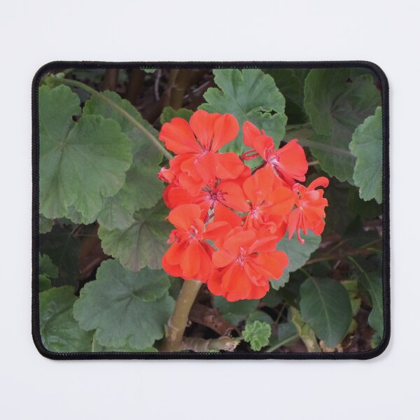 Item preview, Red Orange Geranium Flower designed and sold by KeksWorkroom.